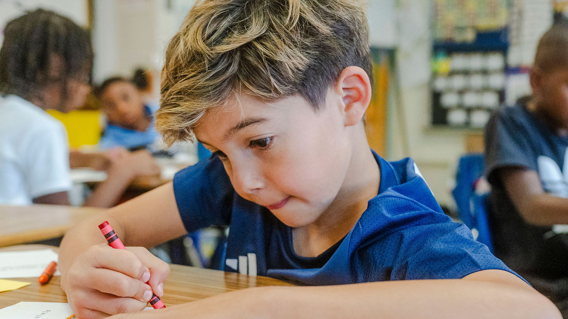 A young student coloring.