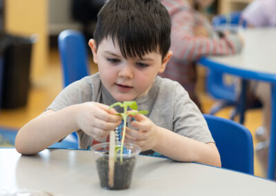 A young boy looking at a small plant on the table in front of him.