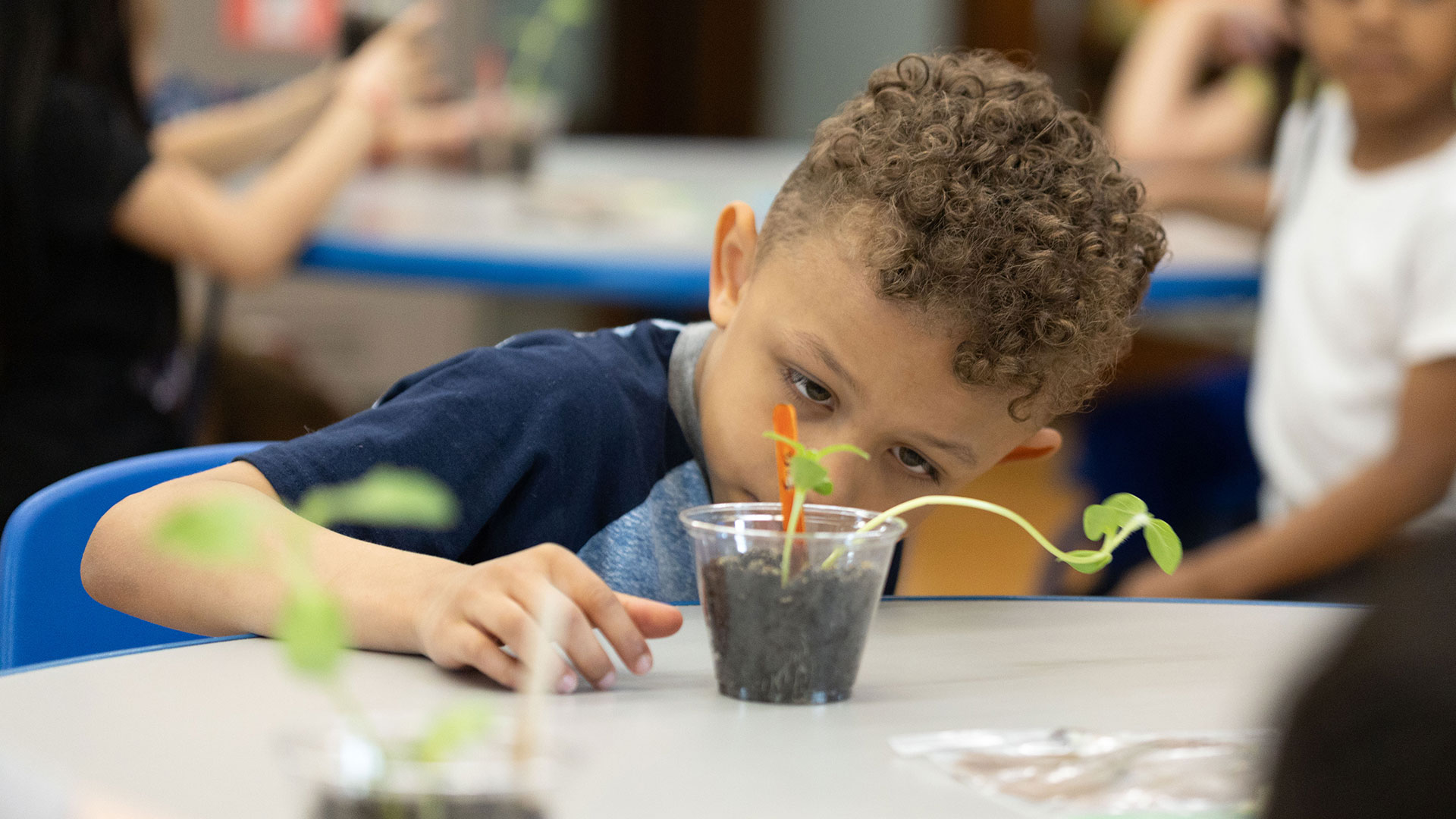 A young student looking at a small plant.